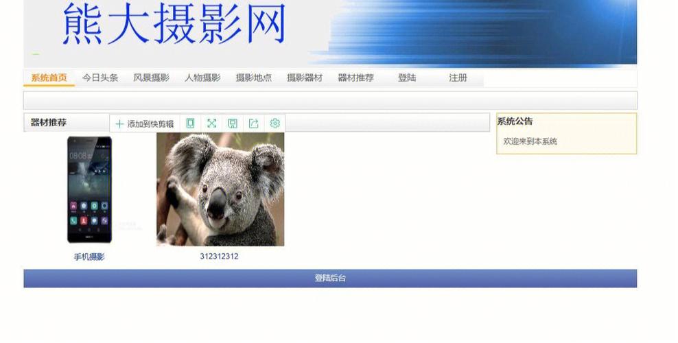 asp做微网站_ASP报告信息缩略图