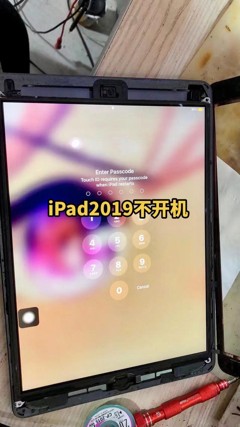 ipad为什么发布不了抖音插图