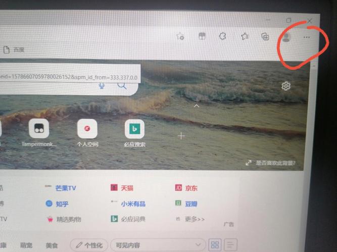 为什么浏览器忽然变了缩略图