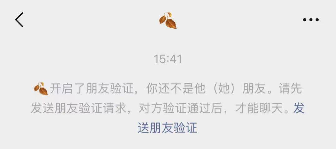 为什么要通过好友验证插图