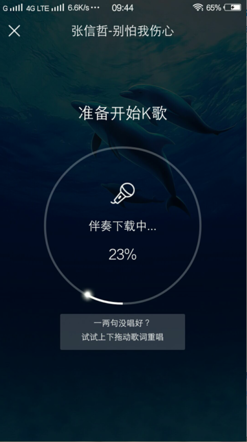 vivo酷狗为什么没有显示插图