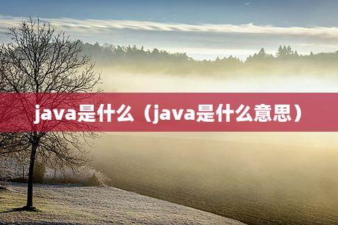 Java是什么意思插图