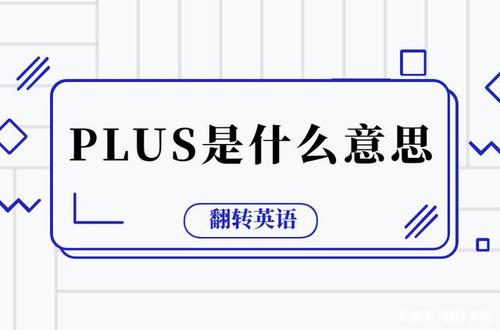 plus是什么意思插图