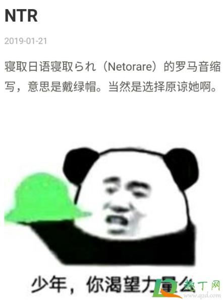 ntr是什么意思的缩写缩略图