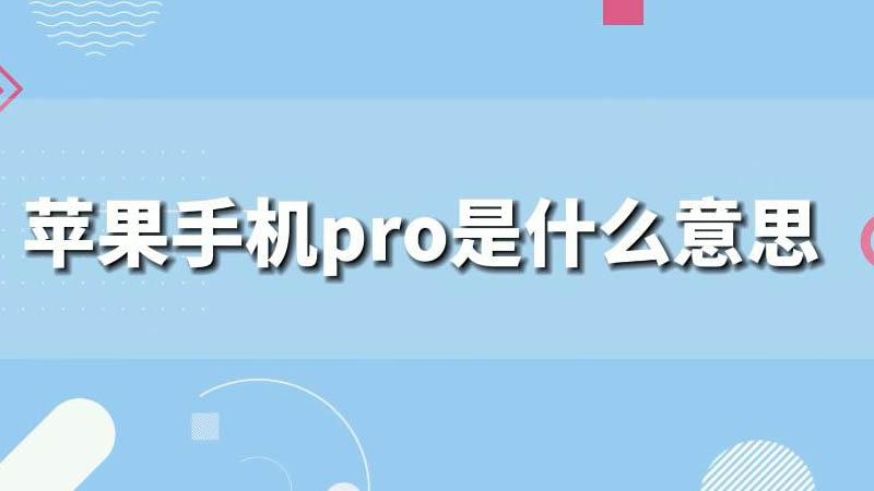 pro是什么意思中文插图