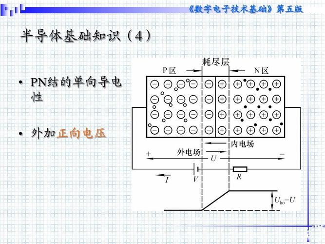 pn是什么意思缩略图