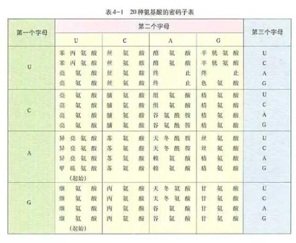 密码分为核心密码普通密码和什么密码缩略图