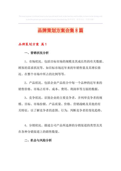 品牌网站建设策划书_定制双品牌插图4