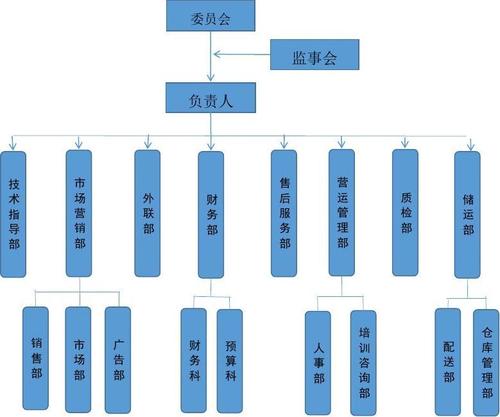 app搭建公司_组织搭建缩略图