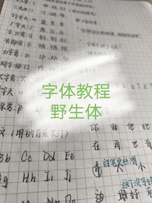 ps立体字教程 _使用教程插图2