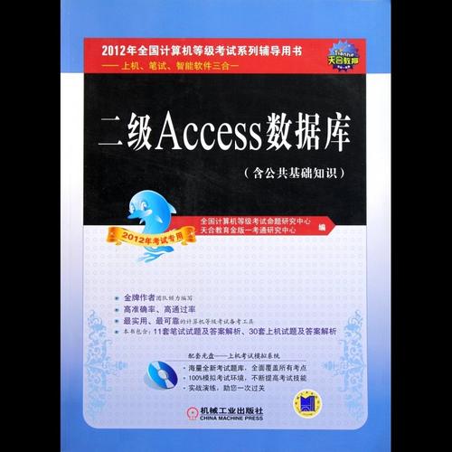 access数据库成品_成品包装插图