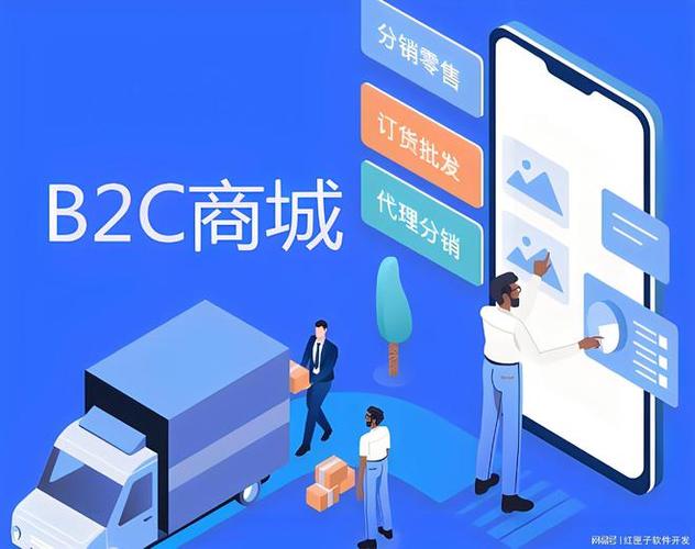 平台b2c网站_应用场景缩略图