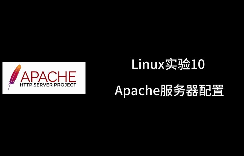 配置apache2服务器_基线检查插图4