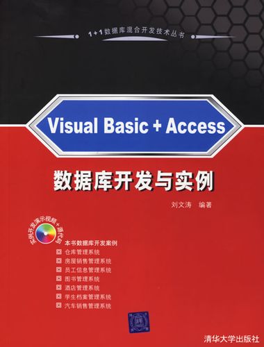 access+visual_插图