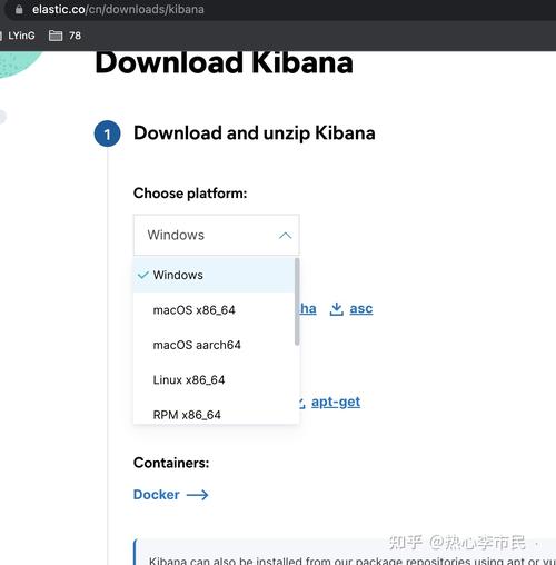 kibana试用_登录Kibana插图4