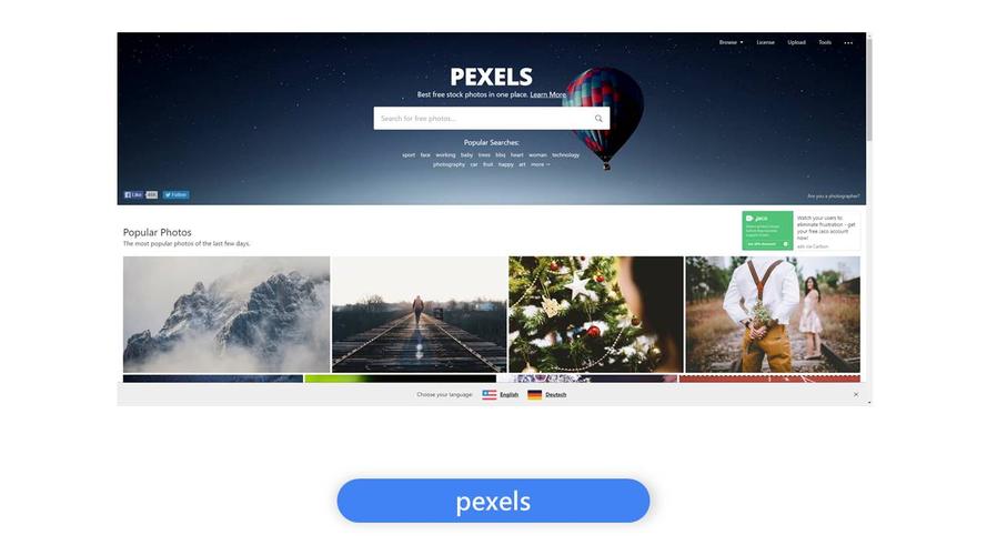 pexels中文网站 方案插图2