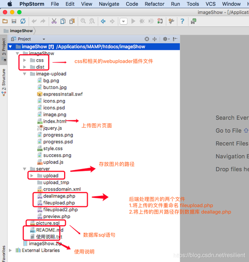 php 多图片上传 数据库_上传图片插图4