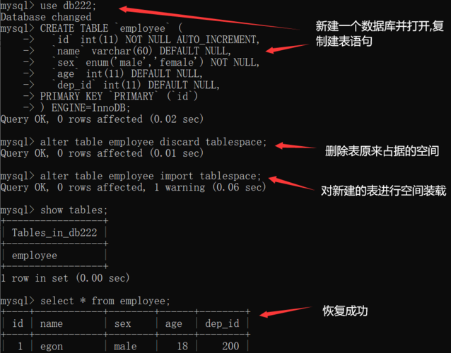 php mysql 建数据库语句吗_查看建表语句插图