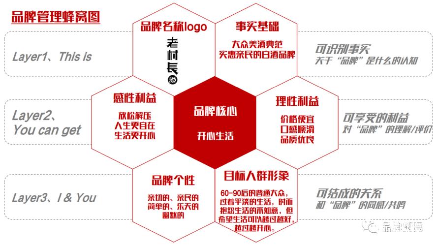 品牌网站建设方案_定制双品牌缩略图