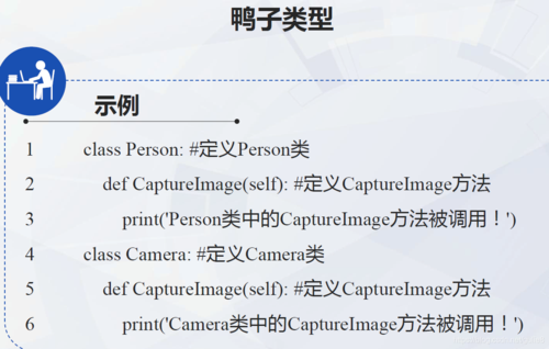 python鸭子类型_Python类型插图
