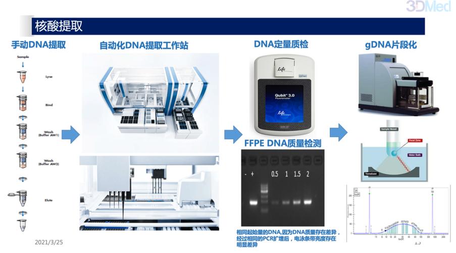 批量执行_批量执行NGS分析插图4