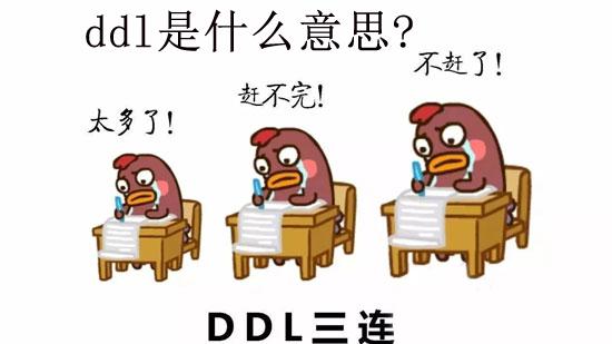 ddl是什么意思插图