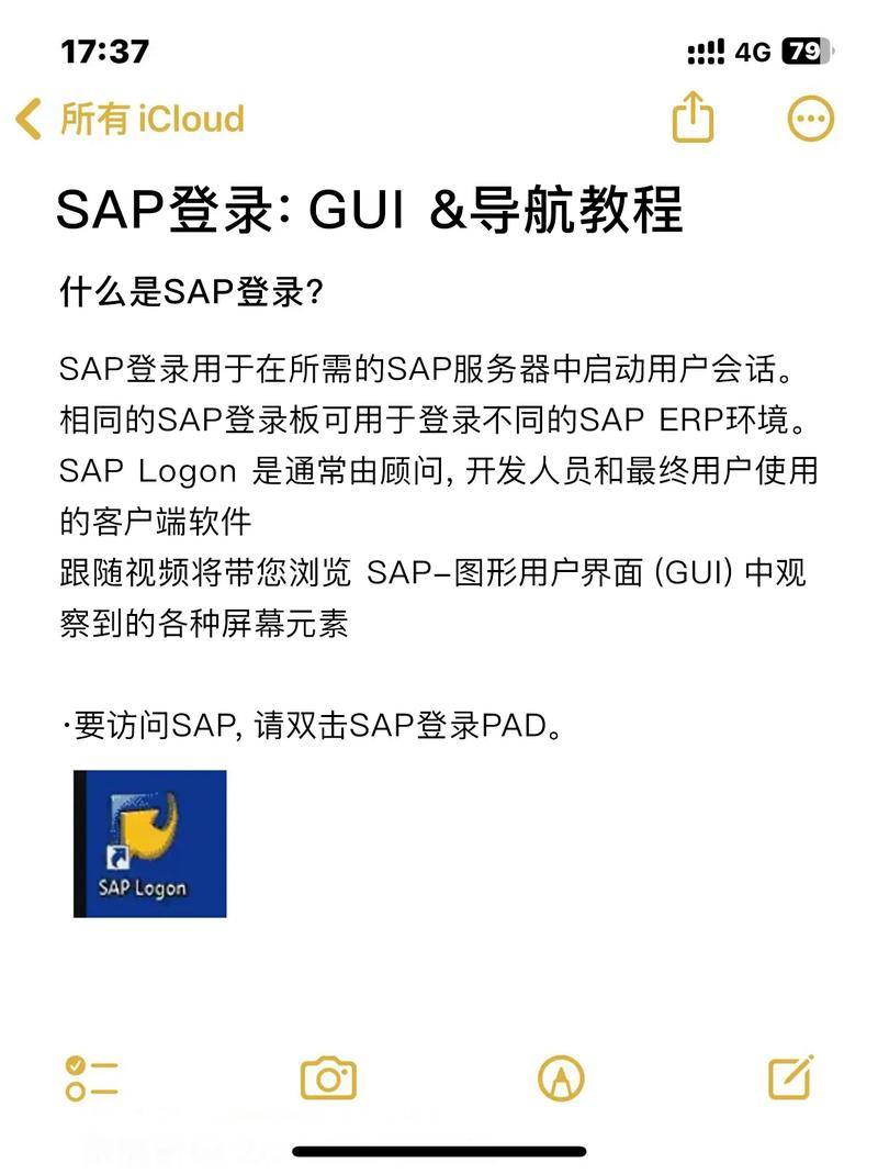 安装sap_安装SAP GUI插图