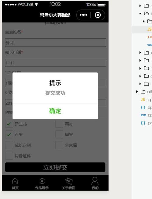 aspnet表单提交到数据库_表单插图4