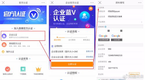 APP开发_API调用认证开发（APP认证插图2