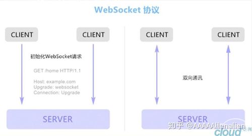 cdn支持websocket_如何启用WebSocket支持？插图2