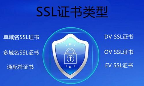 安全证书ssl_SSL证书插图2