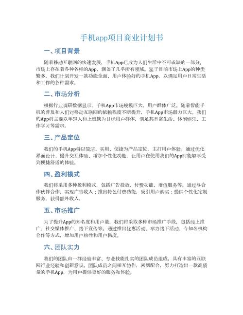 app的商业计划书模板_商业计划插图2