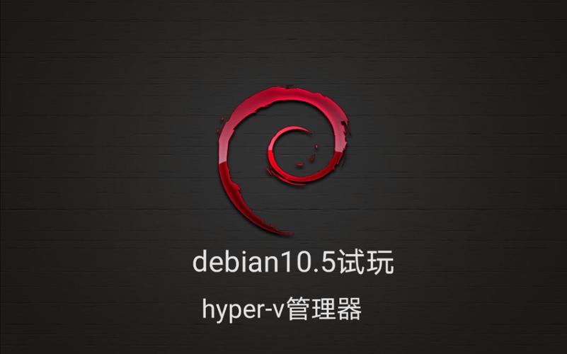 Debian系统版_Debian插图2