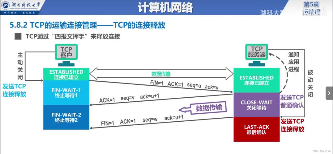 客户端服务器网络_客户端和网络连接插图4