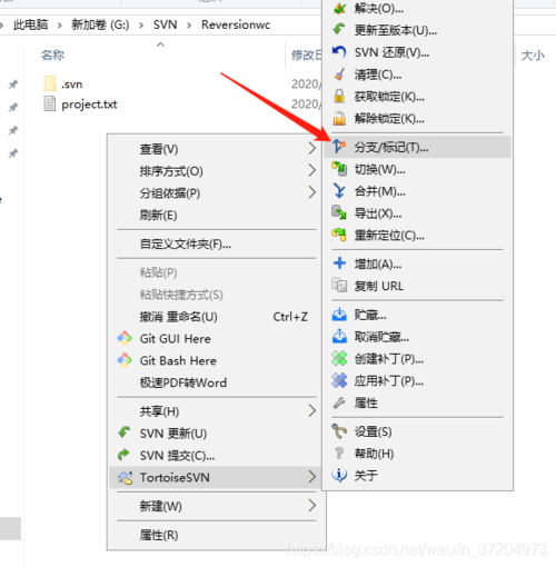 判断浏览器版本_分支判断插图4