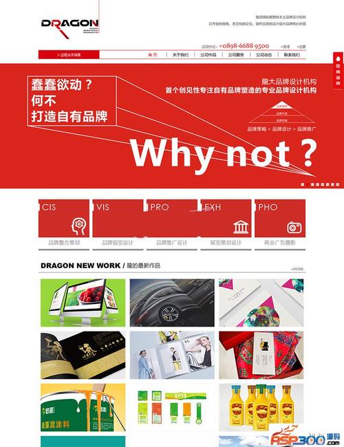 品牌广告设计制作公司网站源码_定制双品牌插图2