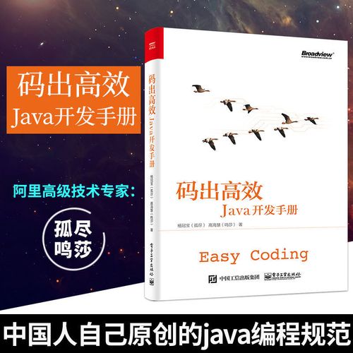 开发规范java_开发规范缩略图