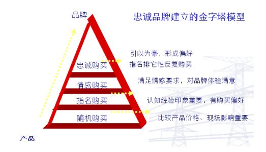 品牌忠诚的定义_定制双品牌插图4