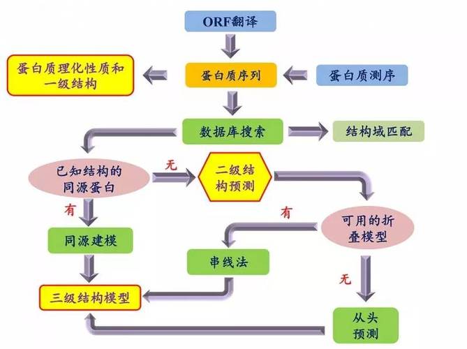 蛋白的服务器客户端_将传入的蛋白和小分子拼接成复合物结构缩略图