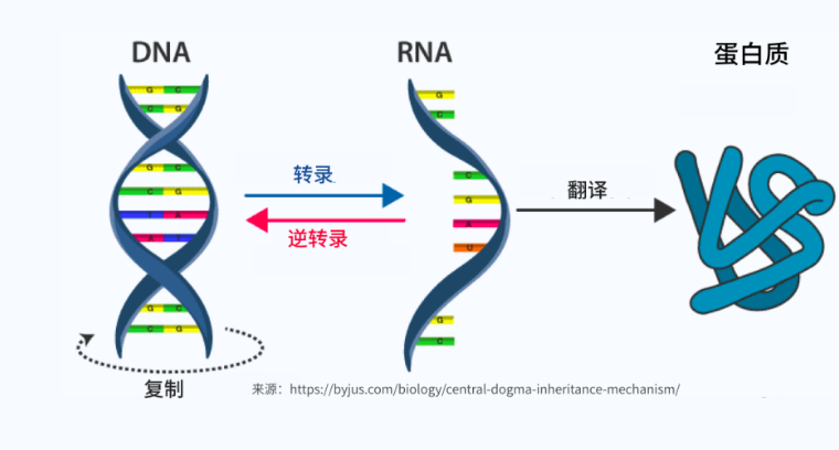 DNAT规则_DNAT规则缩略图