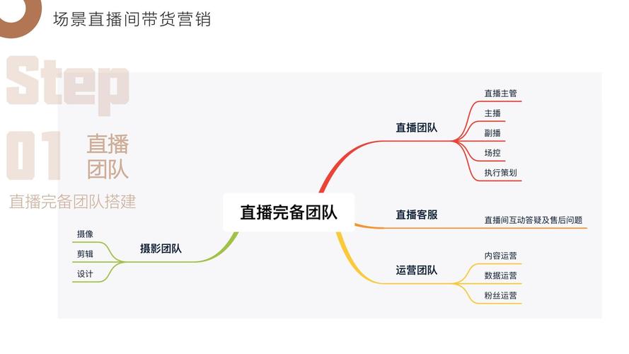 电商营销方案_电商直播场景插图4