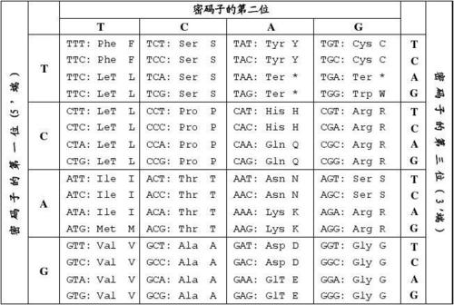 除了核心密码和普通密码，还有哪种类型的密码存在？缩略图