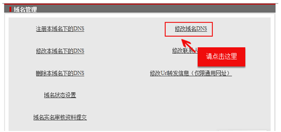 如何更改新网域名的DNS服务器地址？插图2