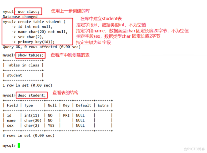 如何通过命令行高效登录并使用Doris MySQL？插图4