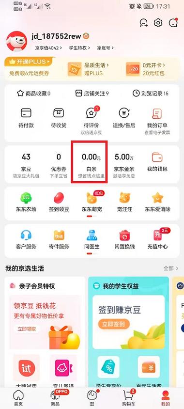 开通京东白条是否值得考虑？缩略图