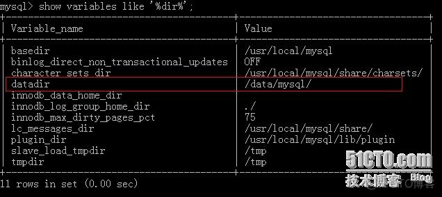 如何选择MySQL数据库文件的存放位置以优化打卡系统性能？插图2