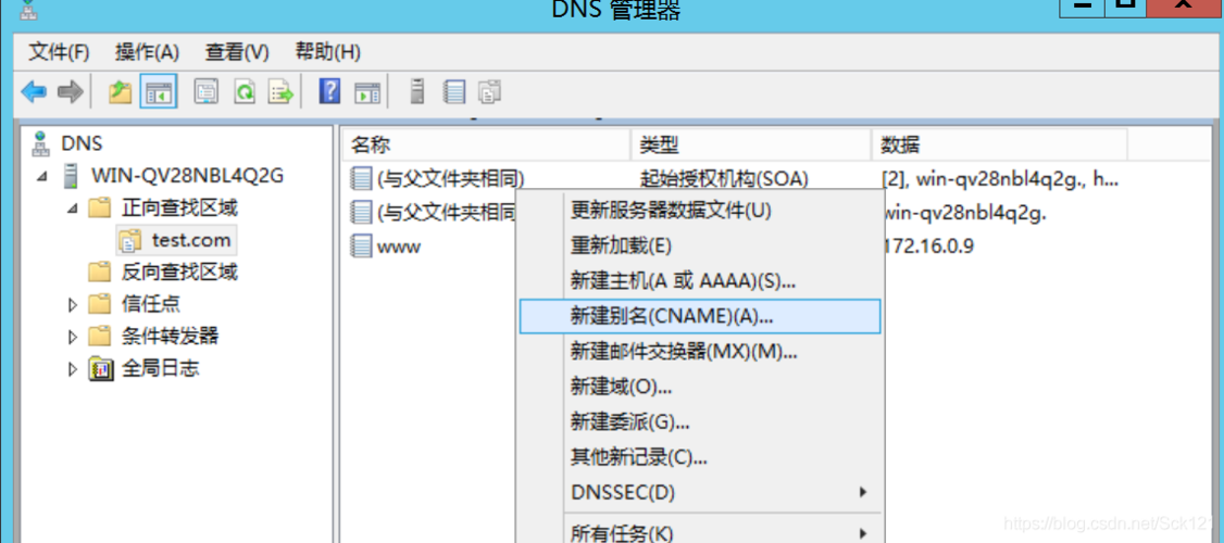 在DNS服务器配置中，主机记录通常用什么字母符号表示？插图2