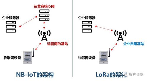 在数字时代，哪些活动或技术可以独立于互联网服务器运行？插图