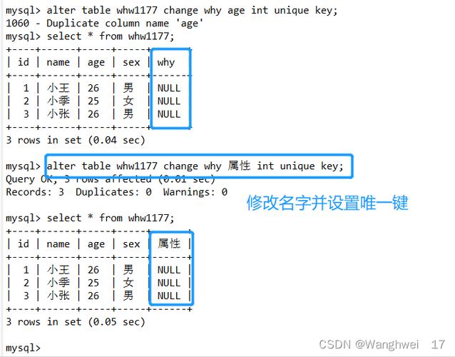 如何有效使用MySQL进行数据库表查询操作？插图4