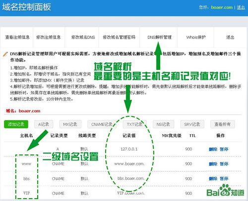 如何查询域名解析的IP地址？缩略图